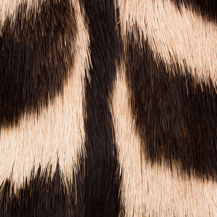 Zebra - zebra stripes -zebra skin - genuine - beautiful  Coffee Mug Gallery Image 2