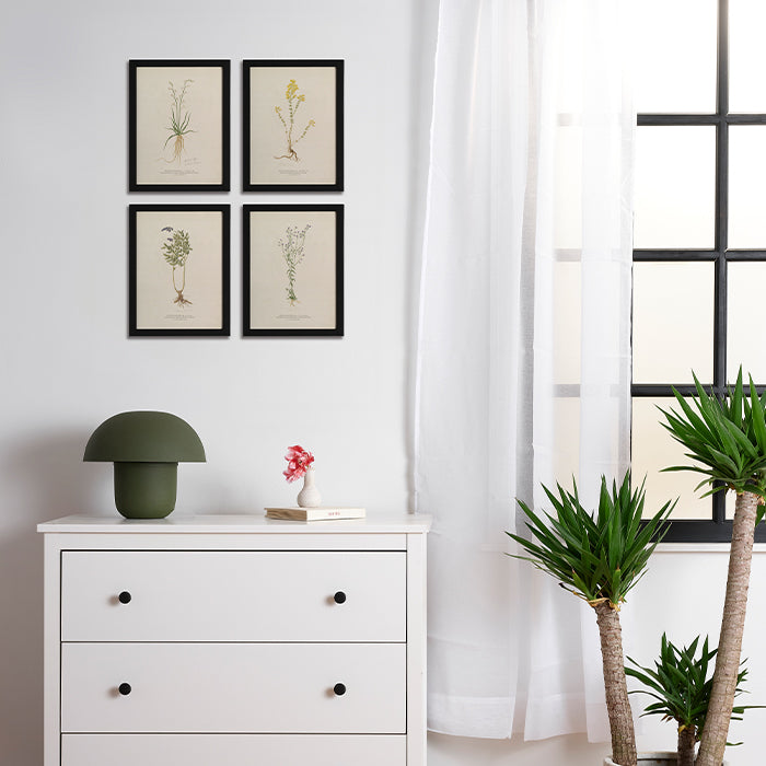 Pressed Flowers Set Framed Poster