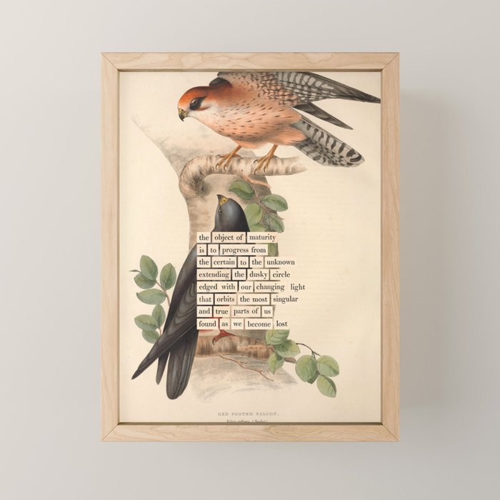 Red-footed Falcon Divination from # An Almanac of Birds # Divinations for Uncertain Days Mini Art Print Gallery Image 1