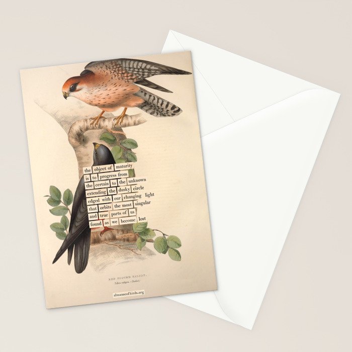 Red-footed Falcon Divination from # An Almanac of Birds # Divinations for Uncertain Days Stationery Card Gallery Image 2