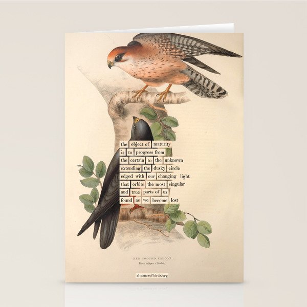 Red-footed Falcon Divination from # An Almanac of Birds # Divinations for Uncertain Days Stationery Card Gallery Image 1