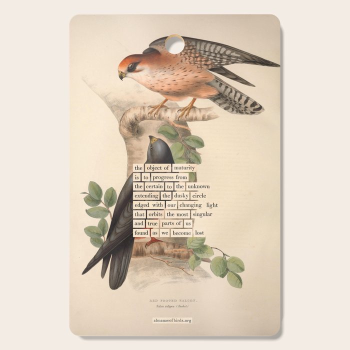 Red-footed Falcon Divination from # An Almanac of Birds # Divinations for Uncertain Days Cutting Board Gallery Image 1