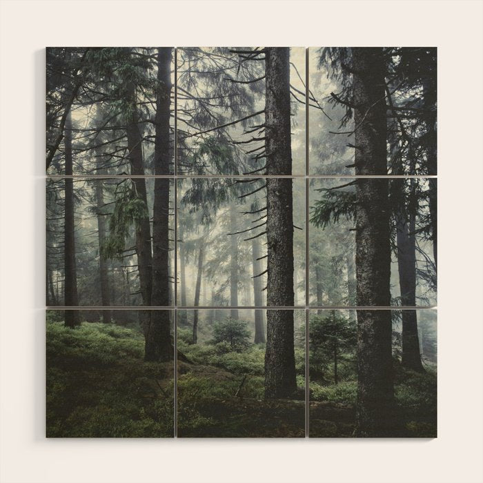Path Vibes Wood Wall Art Gallery Image 1