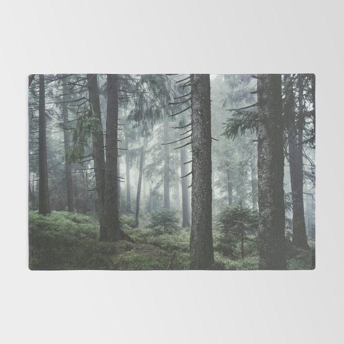 Path Vibes Rug Gallery Image 2