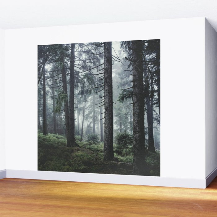 Path Vibes Wall Mural Gallery Image 2