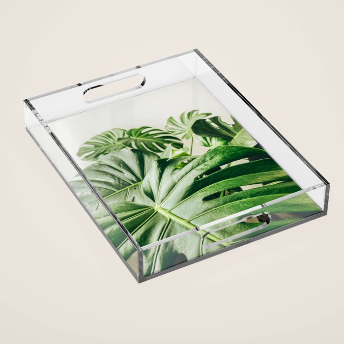 House Plants: Minimal Monstera Leaves Acrylic Tray Gallery Image 1