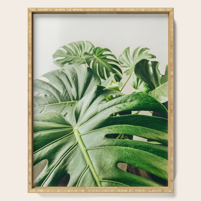 House Plants: Minimal Monstera Leaves Serving Tray Gallery Image 1
