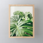House Plants: Minimal Monstera Leaves Mini Art Print Gallery Image 1
