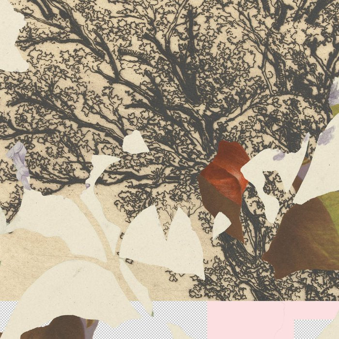 the first plant · g2 Coffee Mug Gallery Image 2