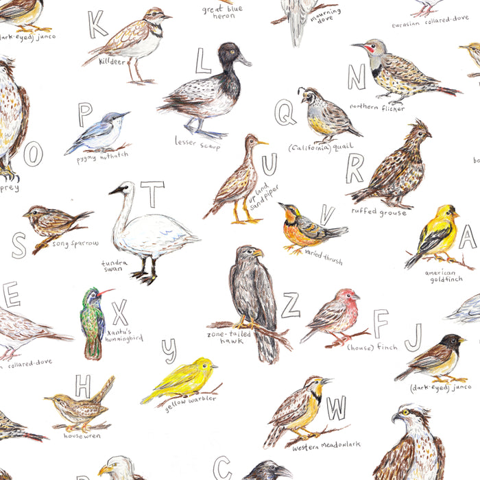 Birds of the Pacific Northwest Coffee Mug Gallery Image 2