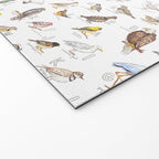Birds of the Pacific Northwest Welcome Mat Gallery Image 2