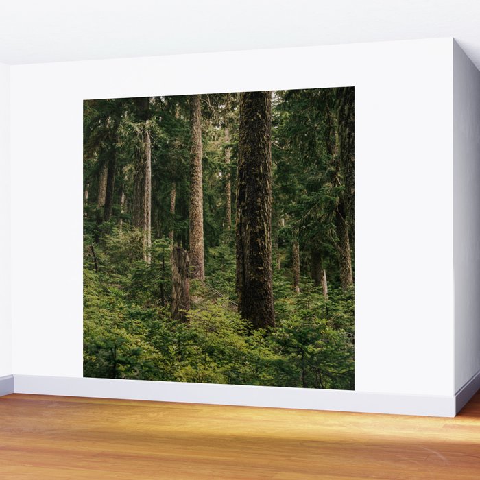 Green Forest Wall Mural Gallery Image 2