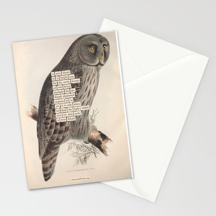 Bird Divinations: Great Cinereous Owl (about: almanacofbirds.org) Stationery Card Gallery Image 2
