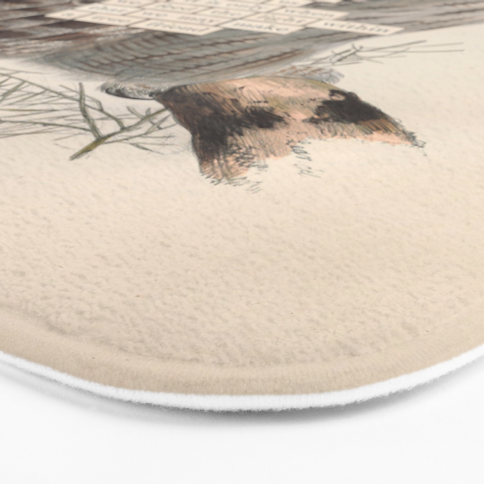 Bird Divinations: Great Cinereous Owl (about: almanacofbirds.org) Bath Mat Gallery Image 3