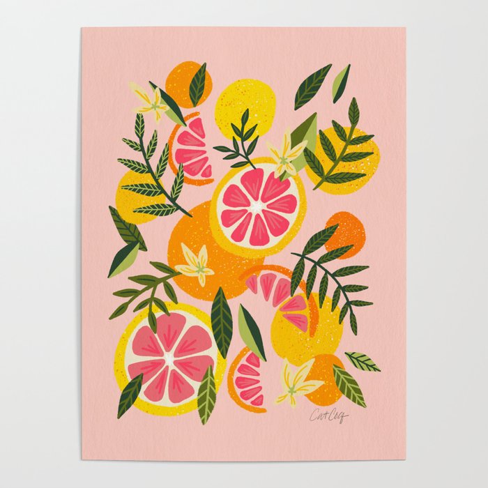 Grapefruit Blooms â Blush Poster Gallery Image 4
