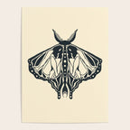 Feminine Metamorphosis  Poster Gallery Image 4