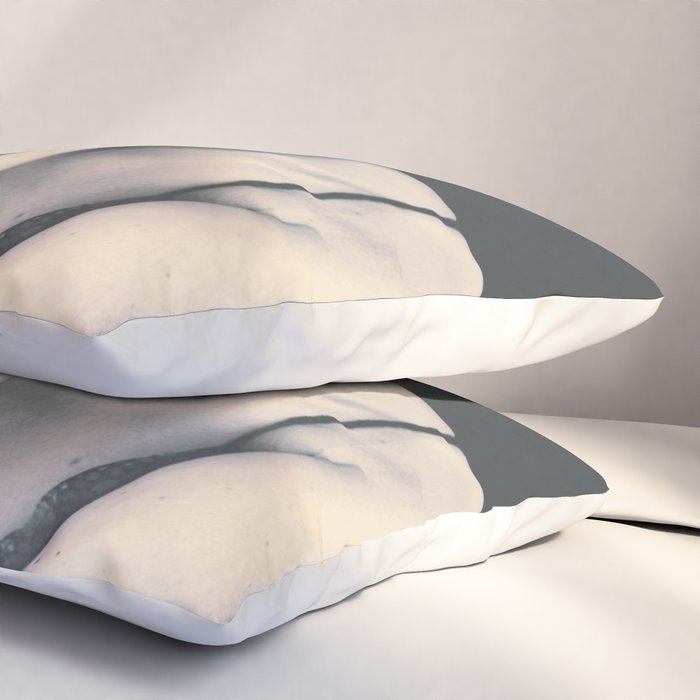 natural beauty-collage 3/3 Pillow Sham Gallery Image 3