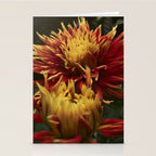 Solar Flare - dahlia photograph botanical art print flowers autumn fall Stationery Card Gallery Image 2
