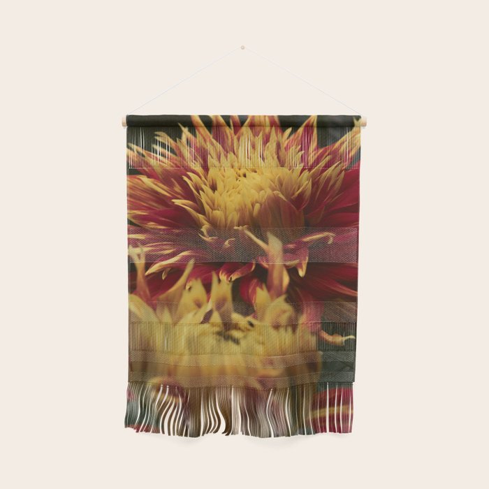 Solar Flare - dahlia photograph botanical art print flowers autumn fall Wall Hanging Gallery Image 1