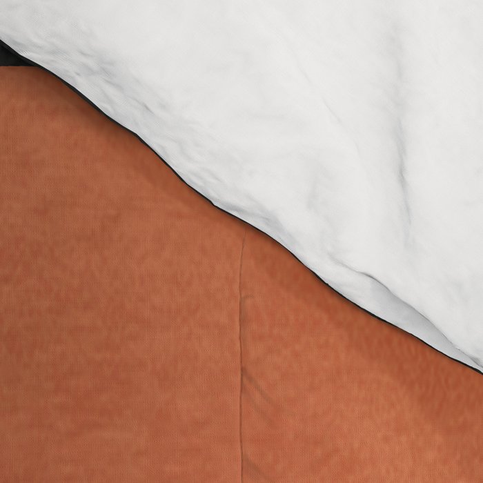 Mid-Century Abstract Balance 09 Comforter Gallery Image 4
