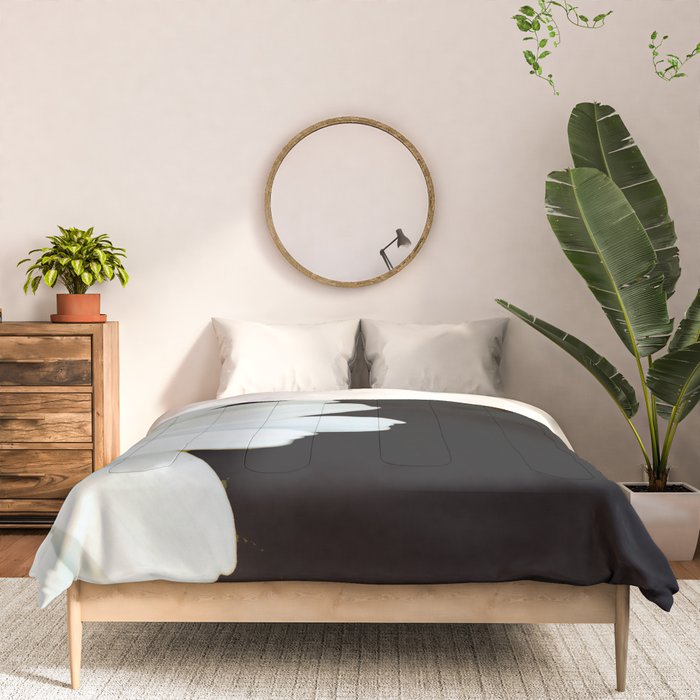 Hello Daisy - White Flower Black Background #decor #society6 #buyart Comforter Gallery Image 3