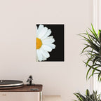 Hello Daisy - White Flower Black Background #decor #society6 #buyart Poster Gallery Image 2