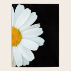 Hello Daisy - White Flower Black Background #decor #society6 #buyart Poster Gallery Image 4