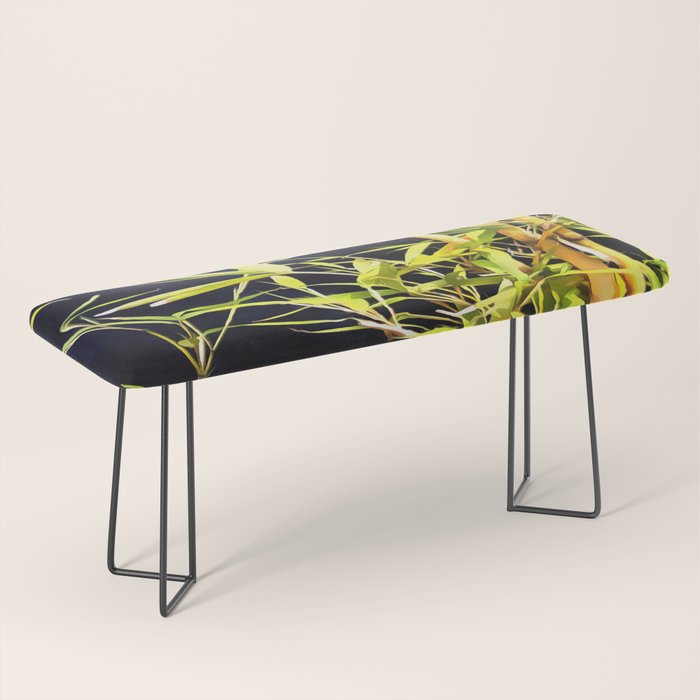 Bamboo On Black Bench Gallery Image 1