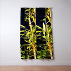 Bamboo On Black Window Curtain Gallery Image 3
