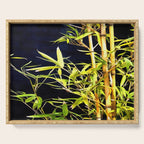 Bamboo On Black Serving Tray Gallery Image 1