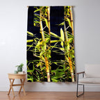 Bamboo On Black Window Curtain Gallery Image 5