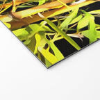 Bamboo On Black Welcome Mat Gallery Image 2