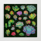Baby succulent 2 - dark Wood Wall Art Gallery Image 1