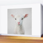Lamb - Colorful Wall Mural Gallery Image 2