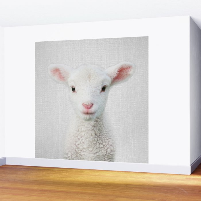 Lamb - Colorful Wall Mural Gallery Image 2