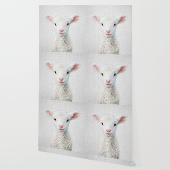 Lamb - Colorful Wallpaper Gallery Image 2