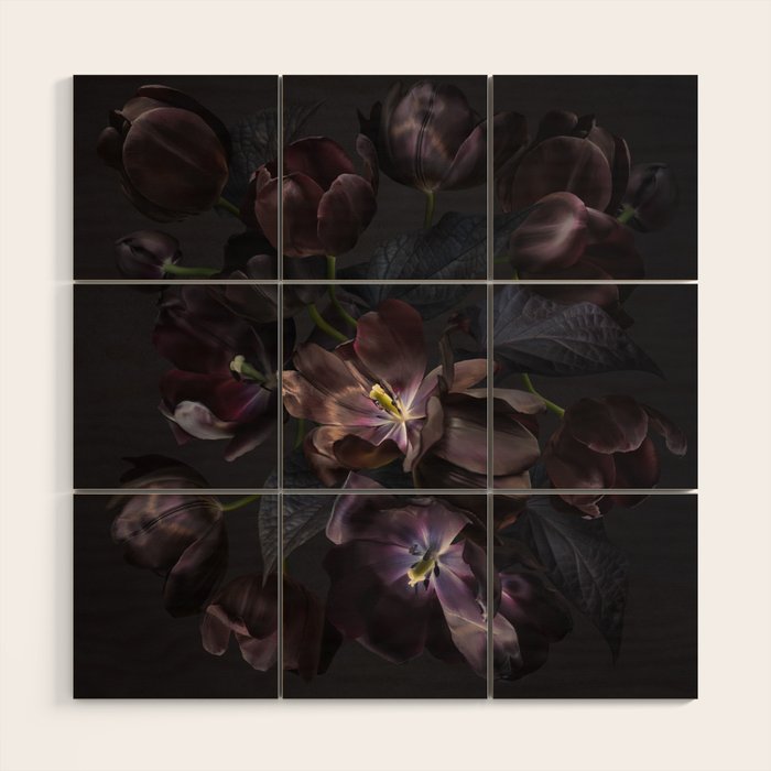 Black tulips on dark background Wood Wall Art Gallery Image 1