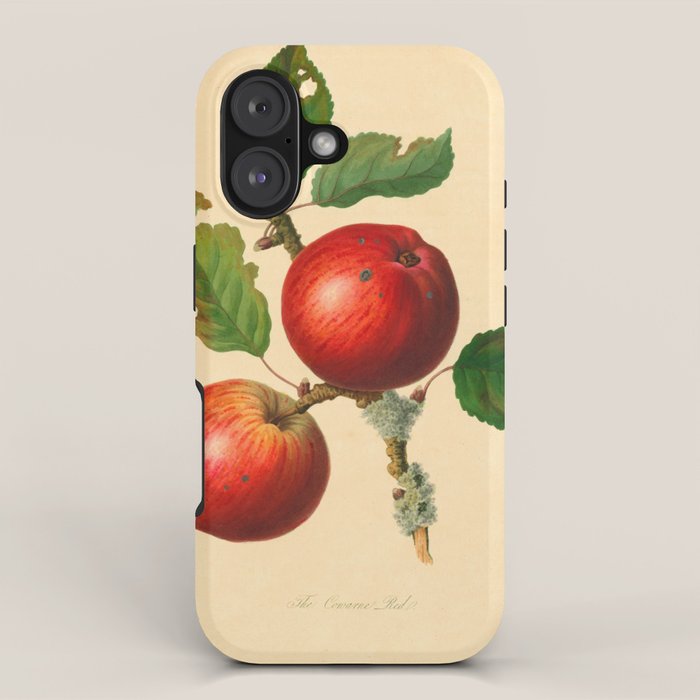 The Cowarne Red Apple (1811) iPhone Case Gallery Image 1