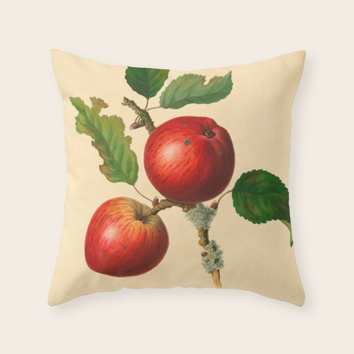 The Cowarne Red Apple (1811) Throw Pillow Gallery Image 1