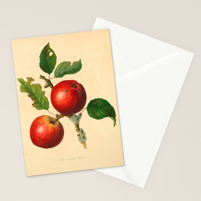 The Cowarne Red Apple (1811) Stationery Card Gallery Image 2