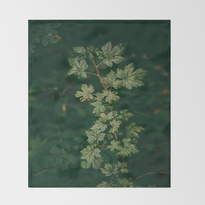 Ribes Lacustre Throw Blanket Gallery Image 2