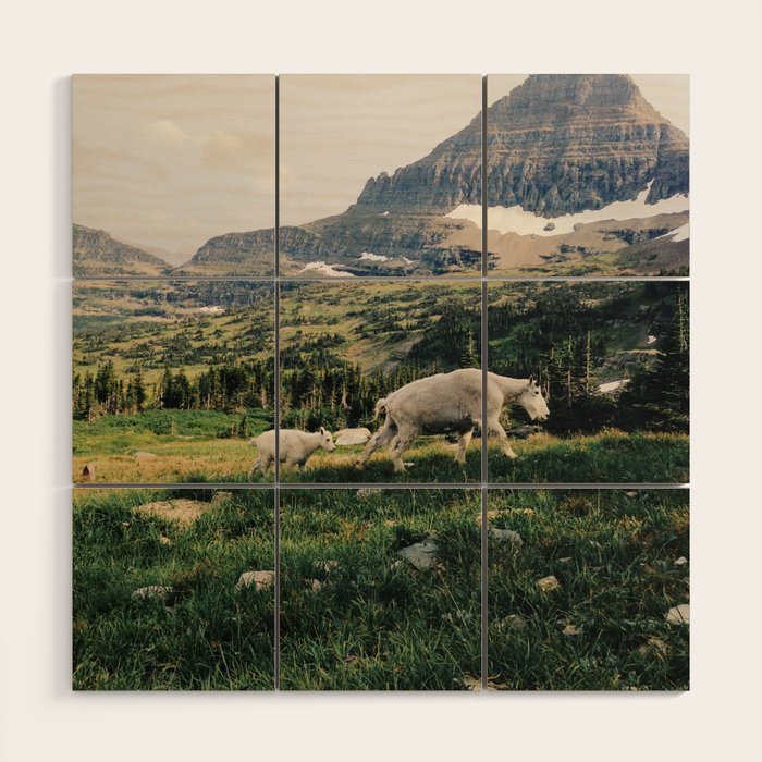 Montana Mountain Goat Family Wood Wall Art Gallery Image 1