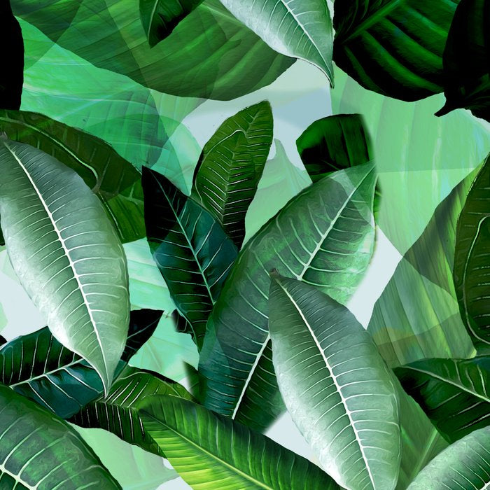 Banana palm leaf tropical jungle green Coffee Mug Gallery Image 2