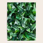 Banana palm leaf tropical jungle green Poster Gallery Image 4