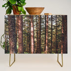 Oregon Coast Credenza Gallery Image 1