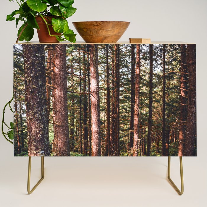 Oregon Coast Credenza Gallery Image 1