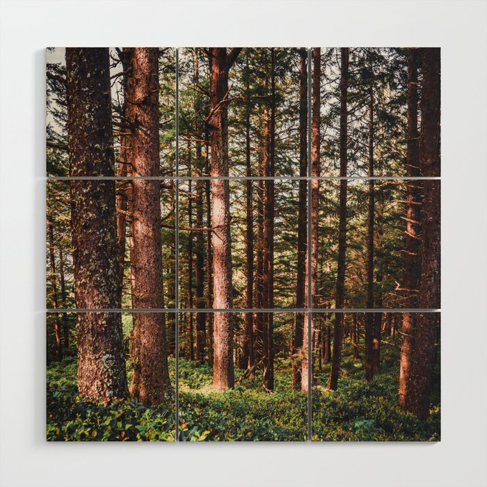 Oregon Coast Wood Wall Art Gallery Image 1