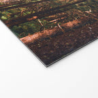 Oregon Coast Welcome Mat Gallery Image 2