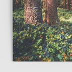 Oregon Coast Poster Gallery Image 3