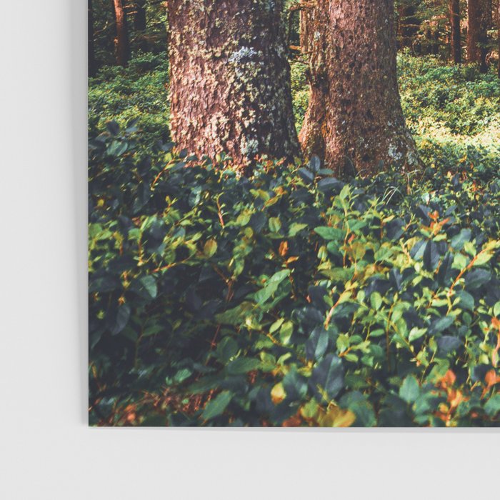 Oregon Coast Poster Gallery Image 3